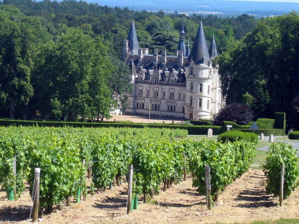 Gite Des Chaumiennes Pouilly-sur-Loire Exterior foto